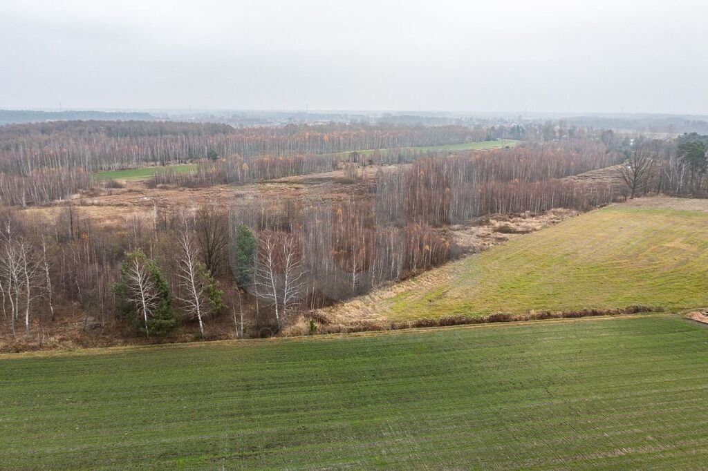 Działka komercyjna na sprzedaż Ręczaje Polskie  23 700m2 Foto 18