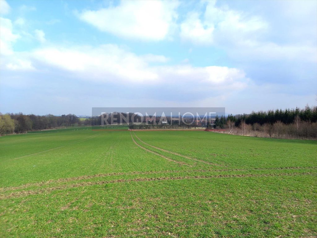 Działka budowlana na sprzedaż Witoszów Górny  1 518m2 Foto 6