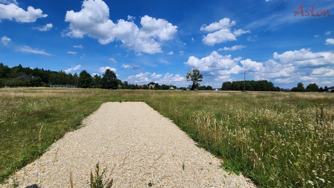 Działka budowlana na sprzedaż Świerczyniec  973m2 Foto 7