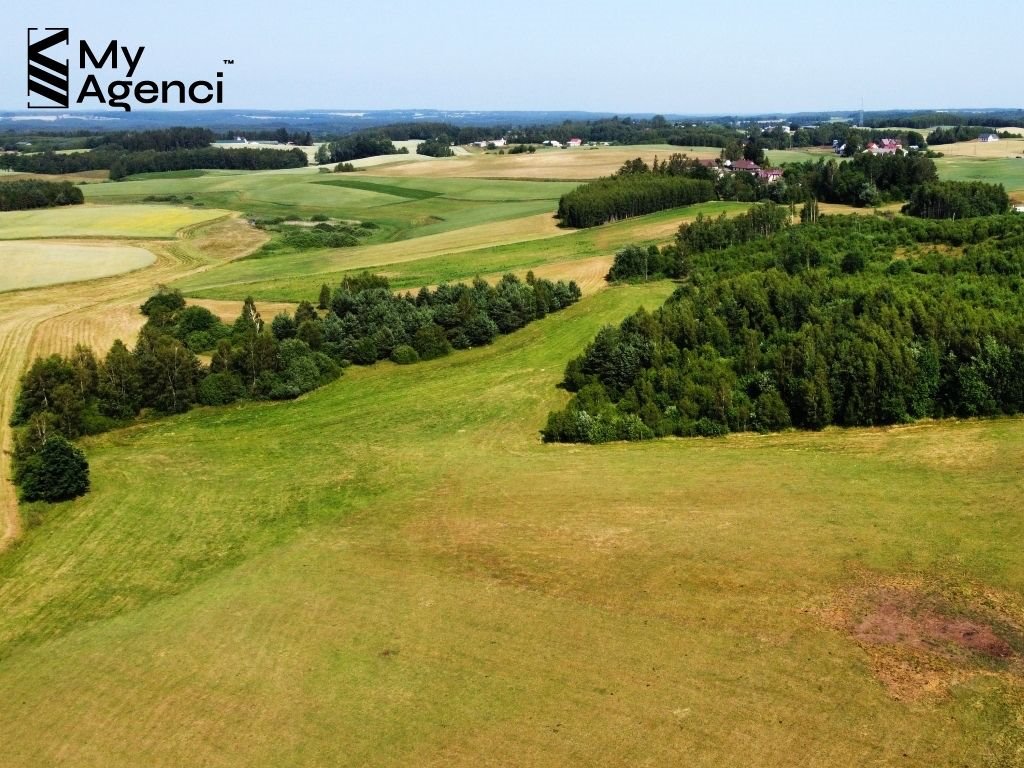 Działka budowlana na sprzedaż Łebno, Kartuska  1 003m2 Foto 4