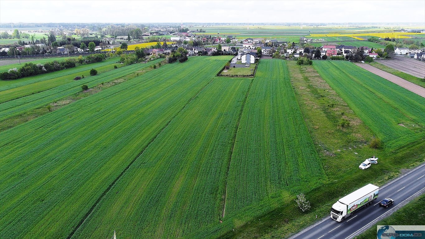 Działka inwestycyjna na sprzedaż Słupca, objazdowa  4 853m2 Foto 9