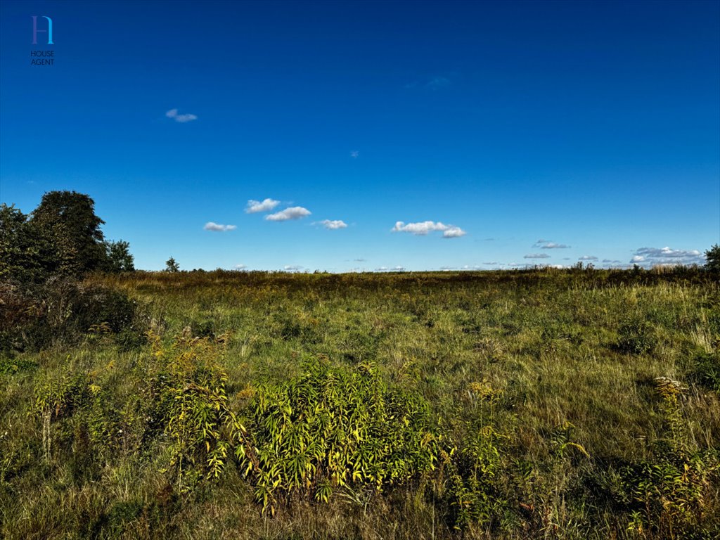 Działka rolna na sprzedaż Janów  2 997m2 Foto 6