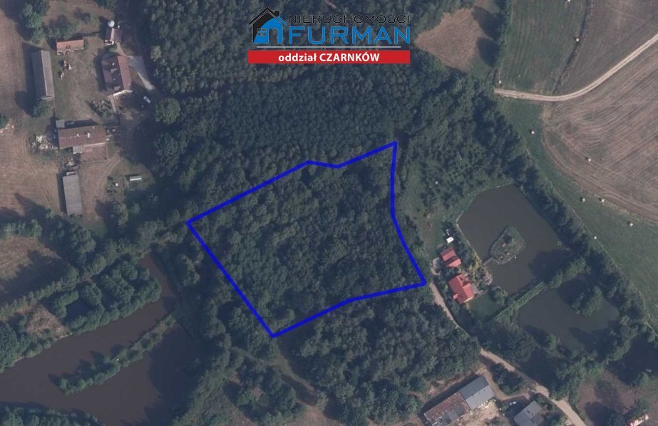 Działka leśna na sprzedaż Straduń  7 683m2 Foto 2