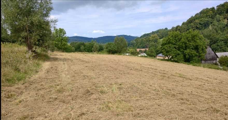 Działka inna na sprzedaż Lądek-Zdrój  3 000m2 Foto 6