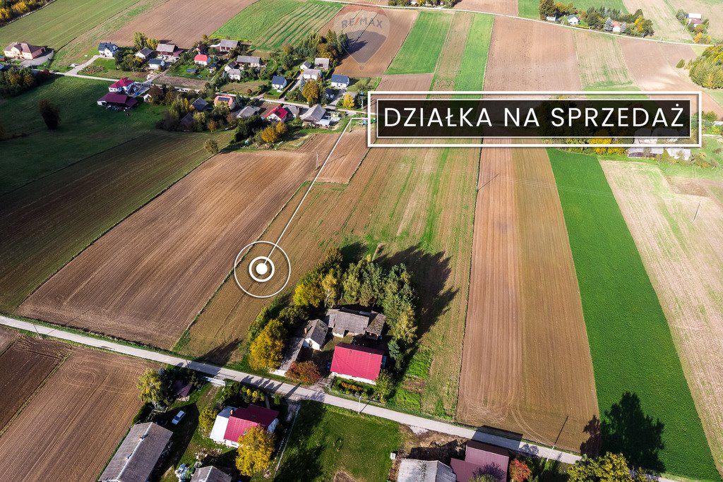 Działka budowlana na sprzedaż Krępa  2 600m2 Foto 3