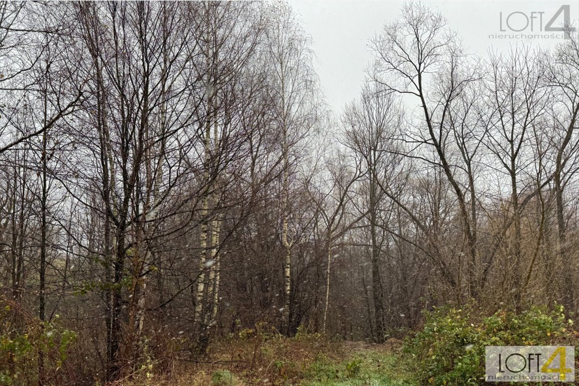 Działka inna na sprzedaż Mystków  4 000m2 Foto 3