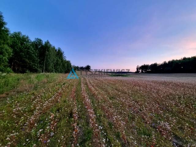 Działka rolna na sprzedaż Piechowice  14 730m2 Foto 6