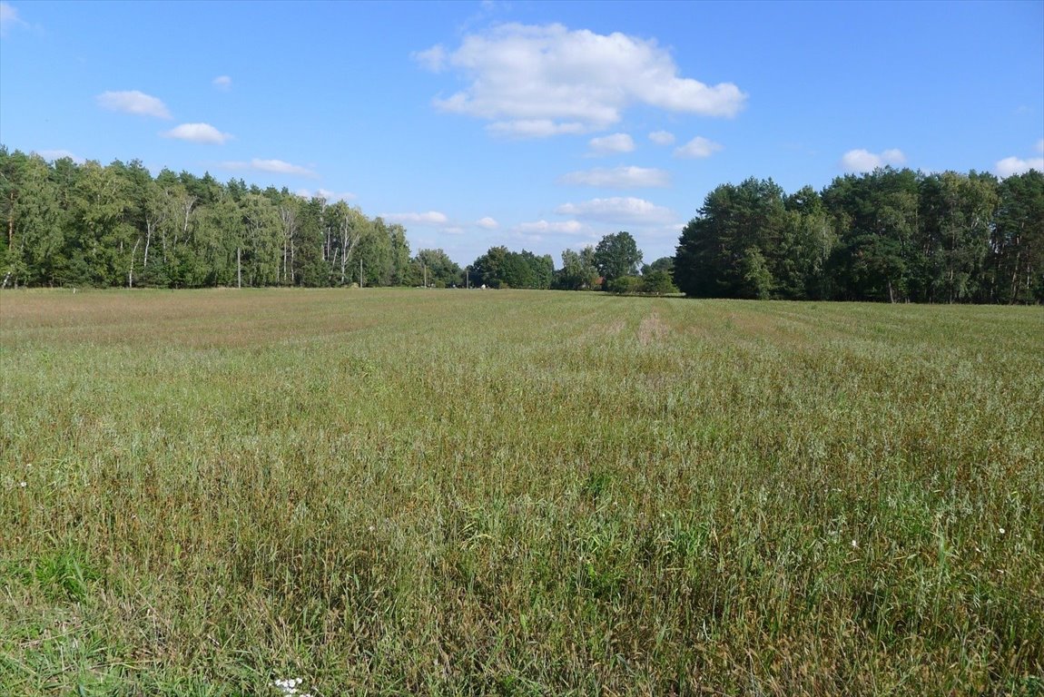 Działka 2500 m² pod zabudowę rezydencjonalną, las, spokój Ignacew Rozlazły  2 500m2 Foto 1