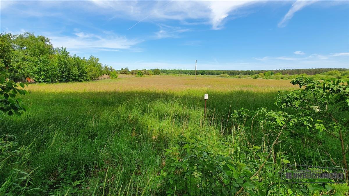 Działka inna na sprzedaż Nieżyn, działka  1 500m2 Foto 12