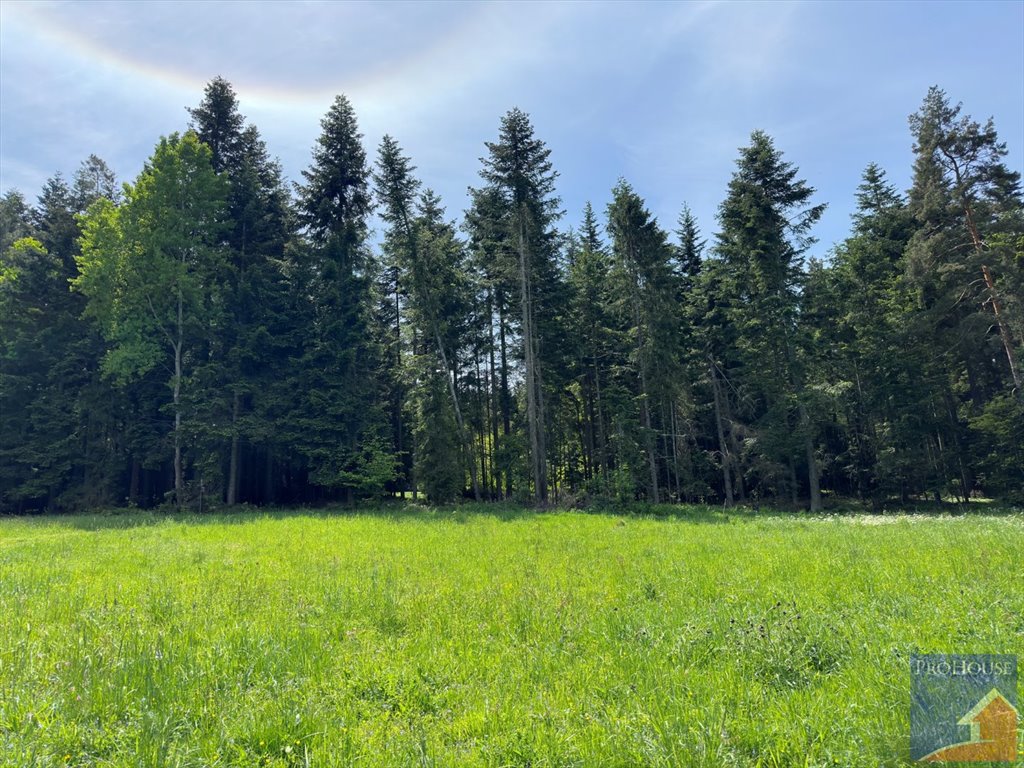 Działka leśna na sprzedaż Podłopień  5 200m2 Foto 3