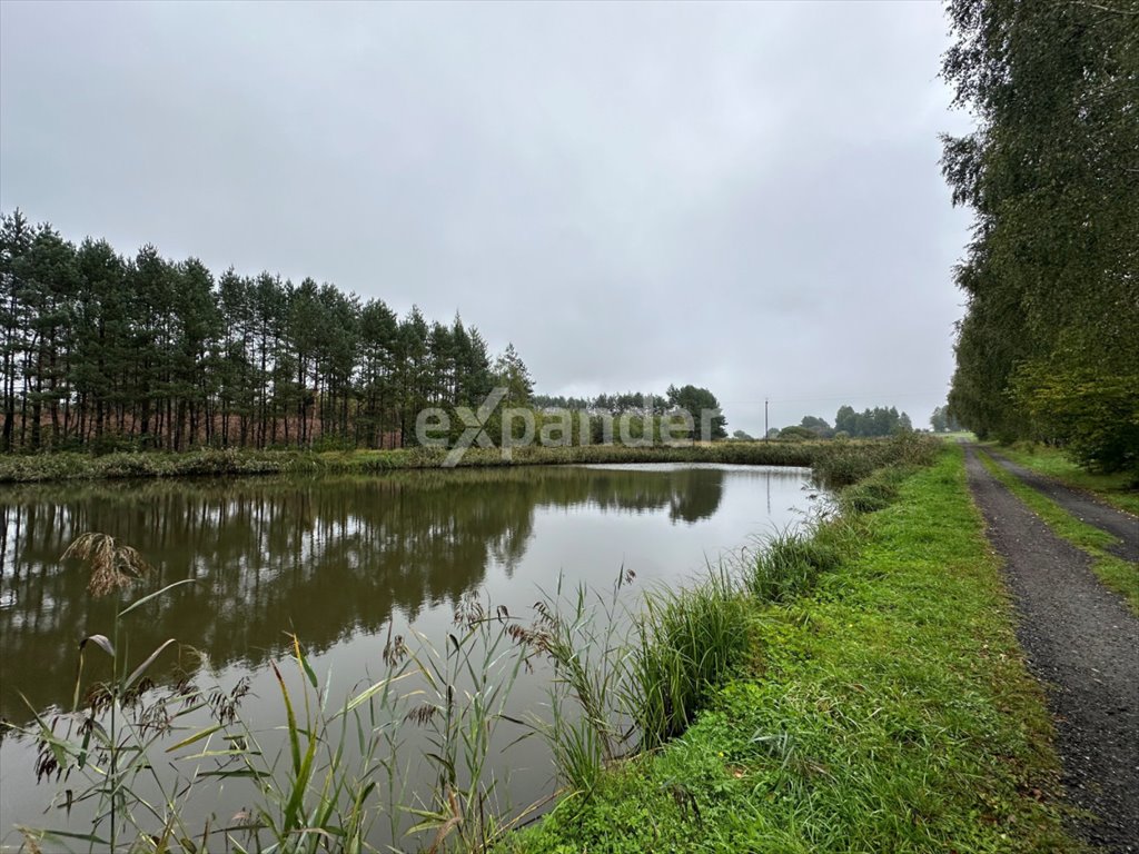 Działka budowlana na sprzedaż Libidza, Stawowa  9 000m2 Foto 6