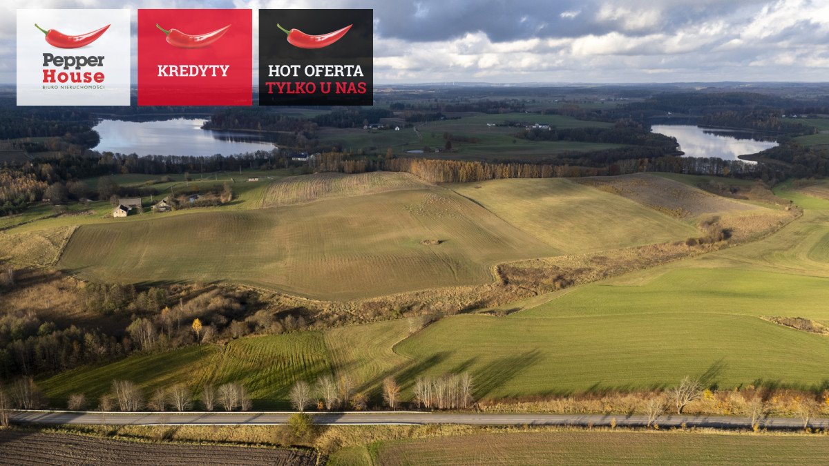 Działka gospodarstwo rolne na sprzedaż Niedamowo  4 901m2 Foto 1