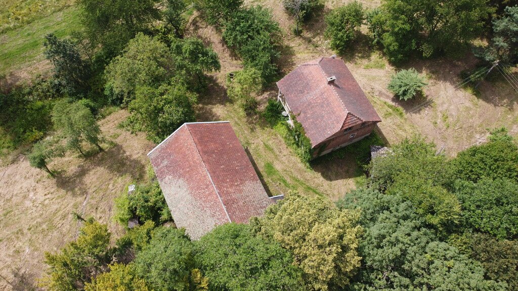 Działka budowlana na sprzedaż Lutcza  107 000m2 Foto 5