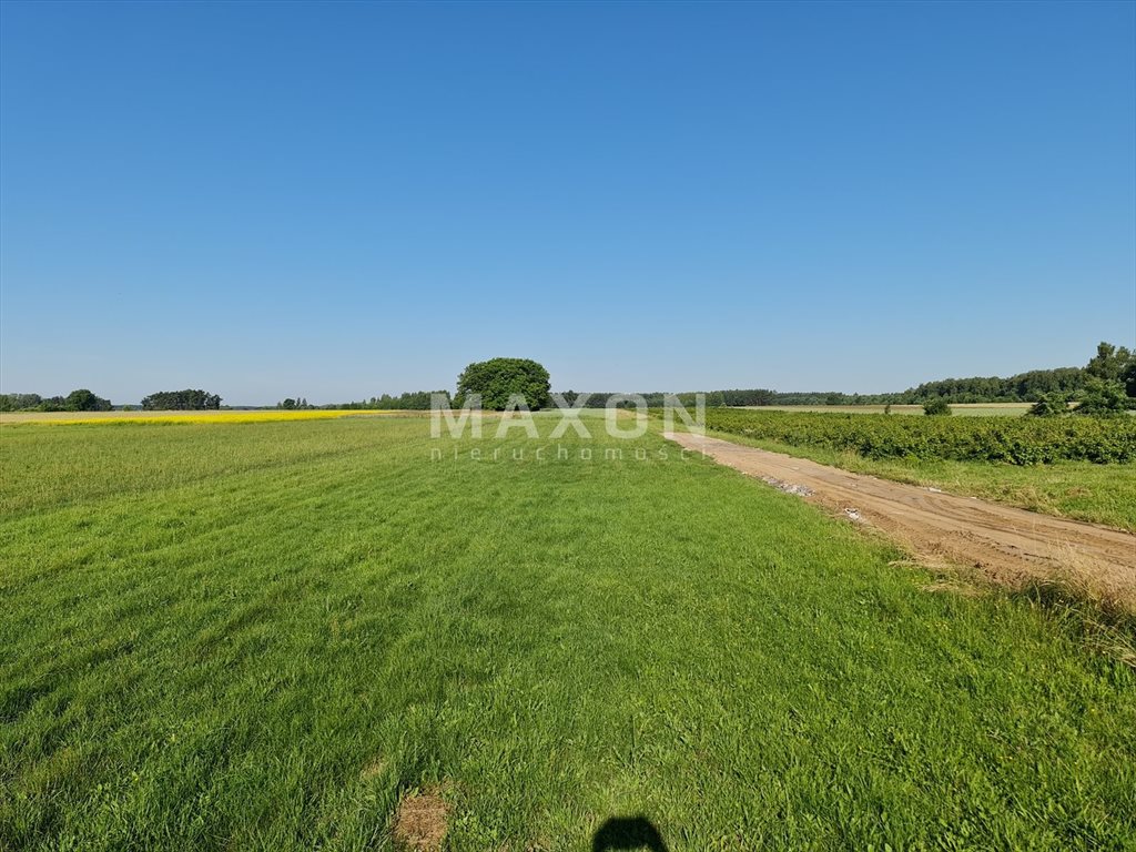 Działka rolna na sprzedaż Ludwinowo Zegrzyńskie  3 366m2 Foto 10