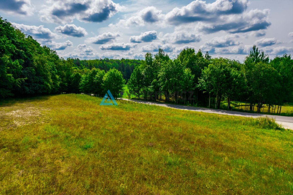 Działka budowlana na sprzedaż Nowa Wieś Przywidzka  2 898m2 Foto 5