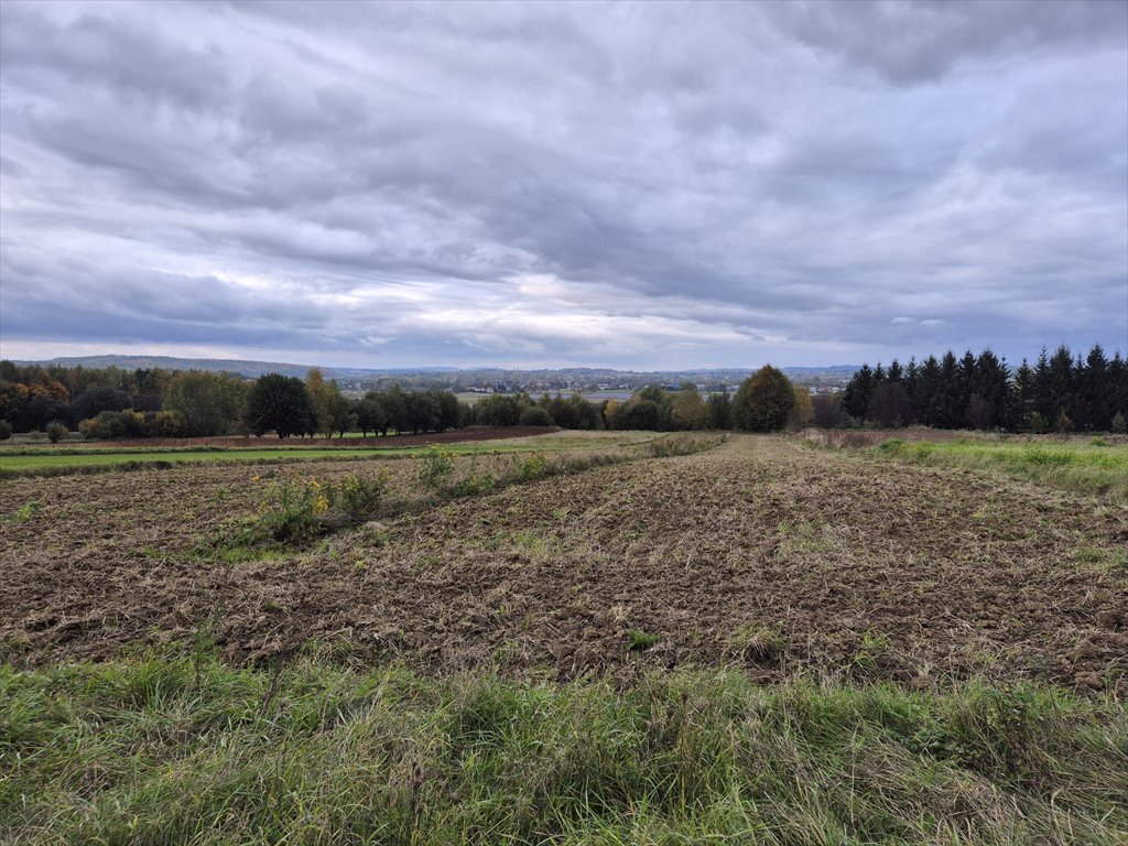 Działka rolna na sprzedaż Długie  1 910m2 Foto 15