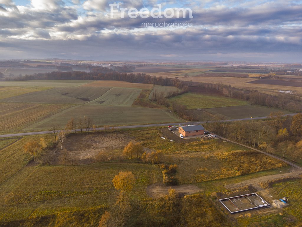 Działka komercyjna na sprzedaż Niwnica  1 714m2 Foto 5