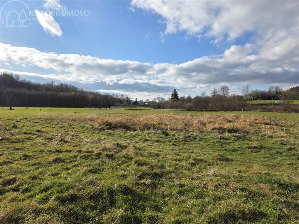 Działka budowlana na sprzedaż Ryglice  2 862m2 Foto 1