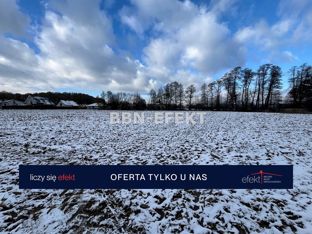 Działka budowlana na sprzedaż Biery  7 394m2 Foto 4