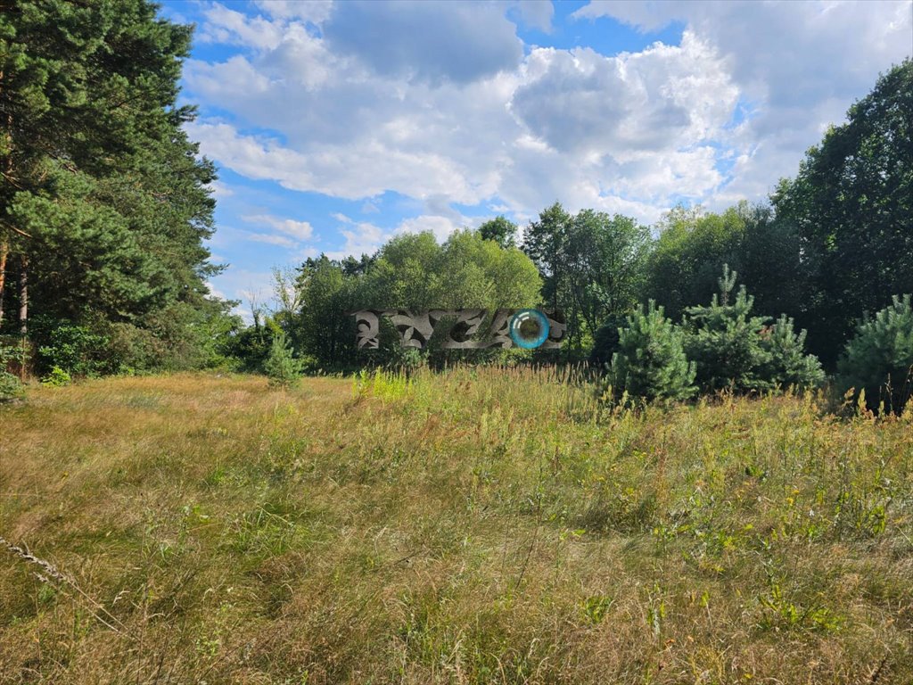 Działka 5000 m² z dostępem do Wisły - idealna inwestycja. Lewików, Lewików, 39  5 000m2 Foto 1