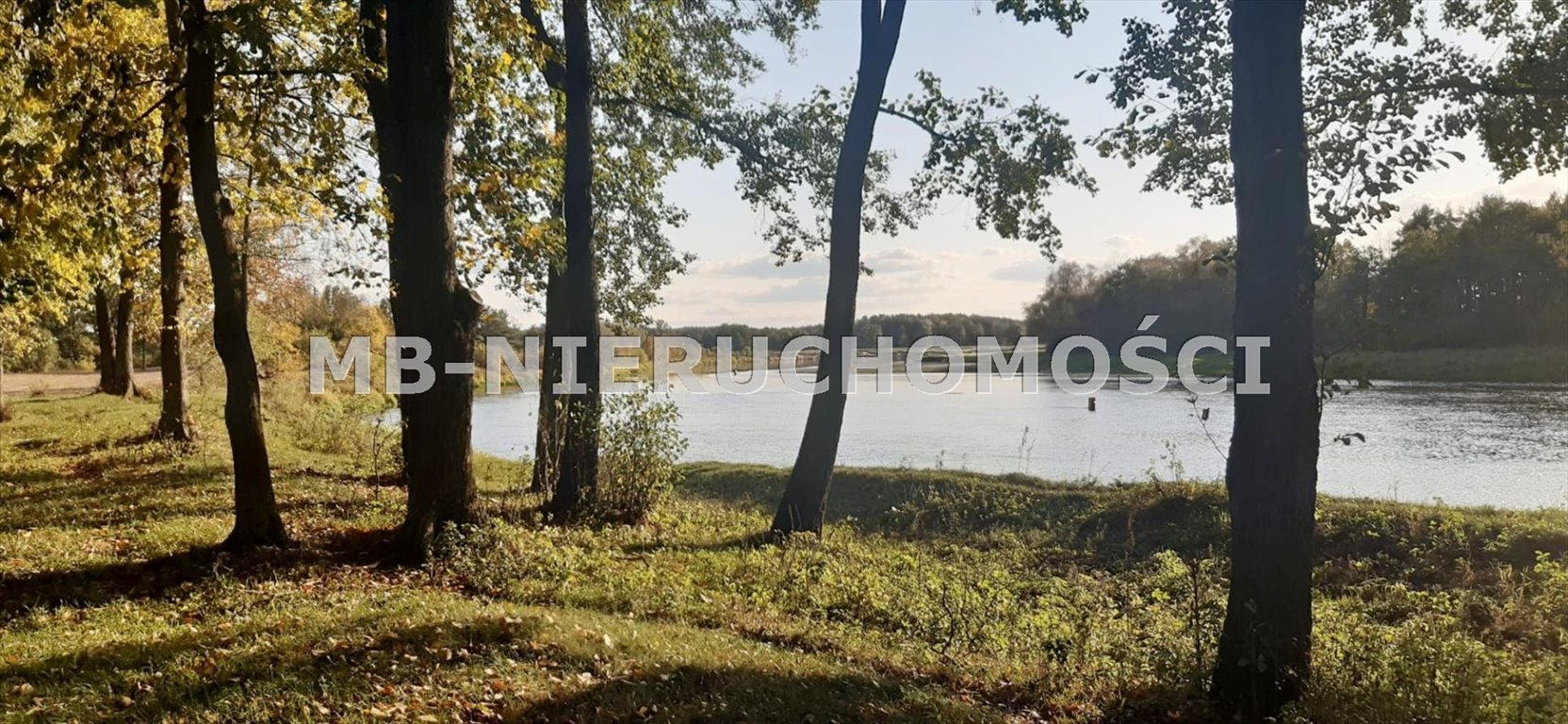 Działka inna na sprzedaż Nowosiedliny  15 800m2 Foto 1