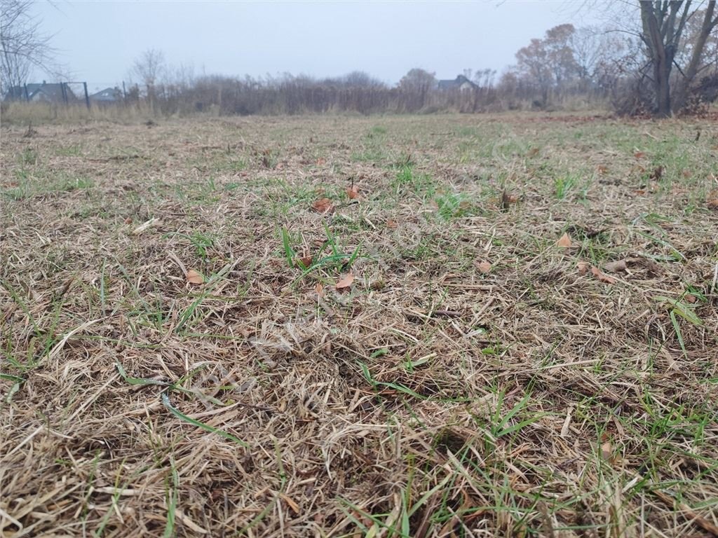 Działka budowlana na sprzedaż Rusiec  1 000m2 Foto 3