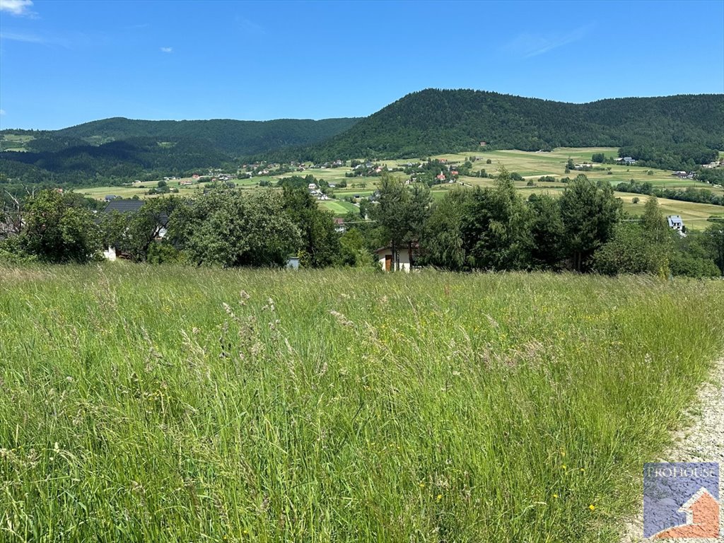 Działka budowlana na sprzedaż Pisarzowa  1 179m2 Foto 2