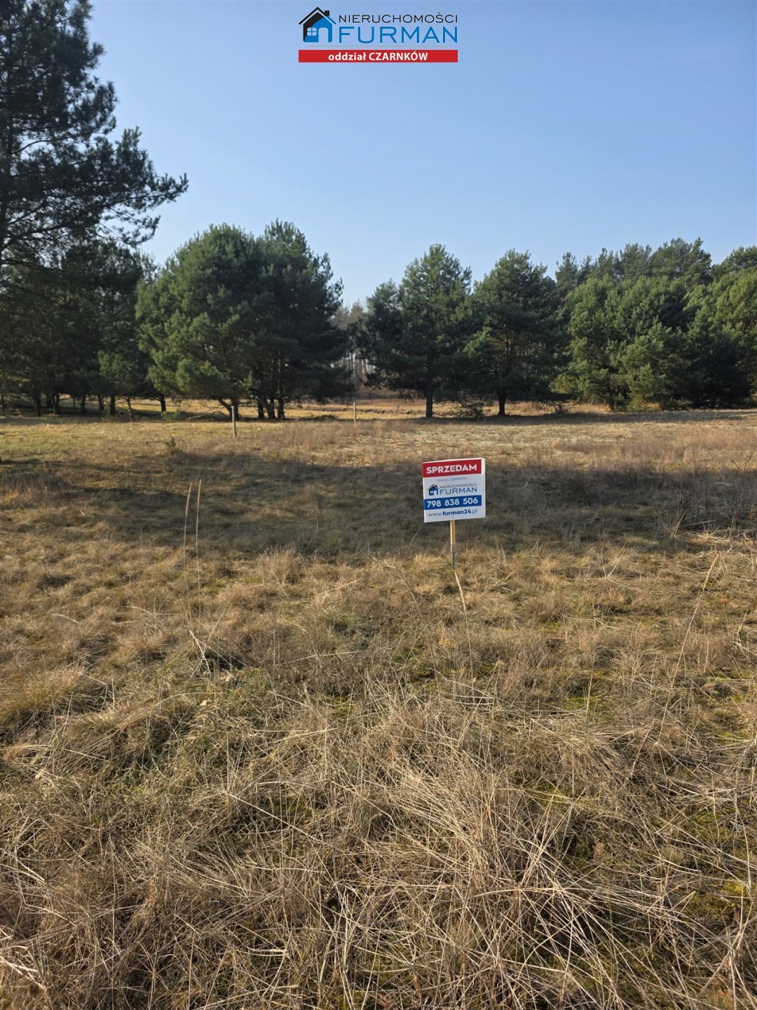 Atrakcyjna działka 1,23 ha z możliwością zabudowy i rolnictwa Bukowiec  12 316m2 Foto 1