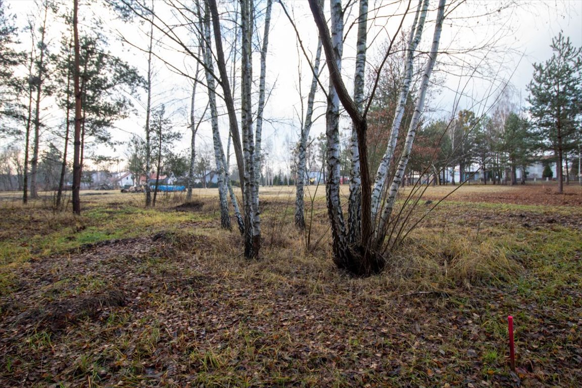 Działka budowlana na sprzedaż Koszęcin, Słowików  1 099m2 Foto 9