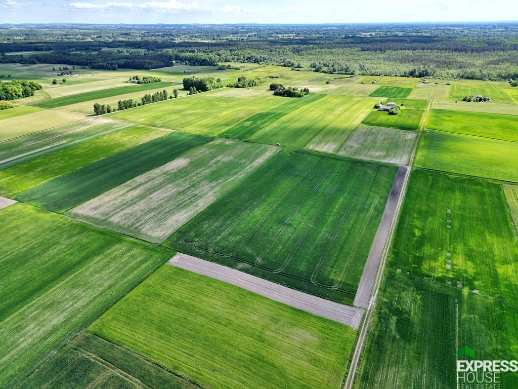 Działka rolna na sprzedaż Świerszczów  21 900m2 Foto 2