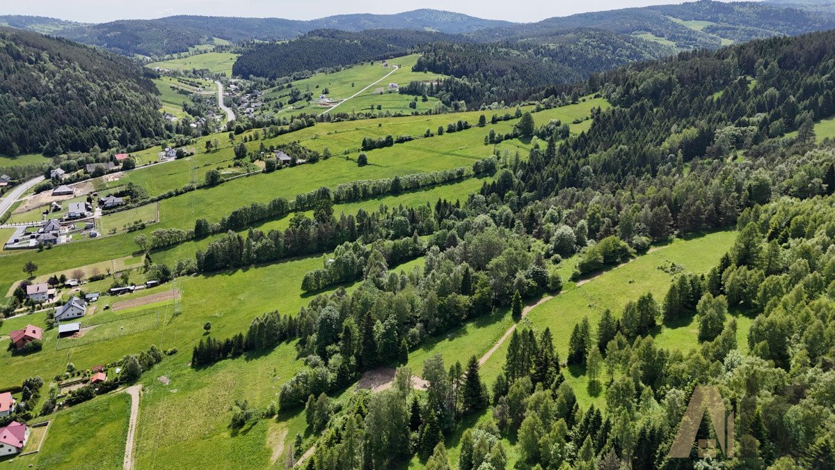 Działka rolna na sprzedaż Nowa Wieś  38 500m2 Foto 10