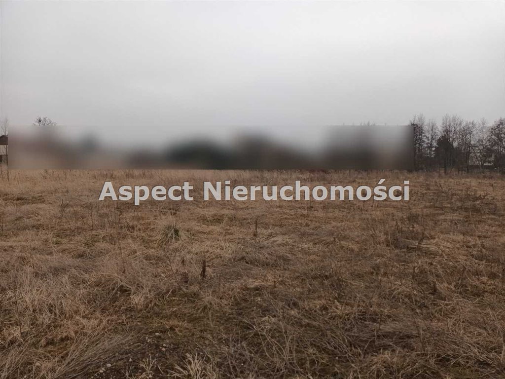 Działka budowlana na sprzedaż Żory, Baranowice  6 569m2 Foto 3
