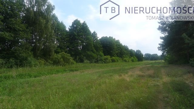Działka budowlana na sprzedaż Powidz, Ostrowo, Nad Jeziorem 15 000m2 Foto 1 Działka budowlana na sprzedaż Powidz, Ostrowo, Nad Jeziorem 15 000m2 Foto 1