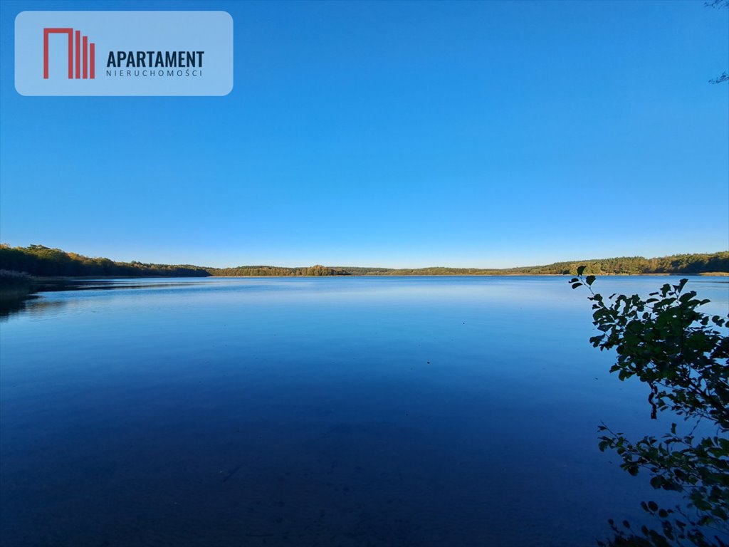 Działka leśna na sprzedaż Iwiczno  3 000m2 Foto 1