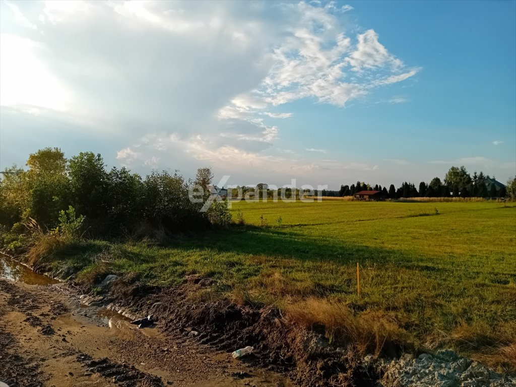 Działka przemysłowo-handlowa na sprzedaż Stanica, Gliwicka  3 124m2 Foto 6