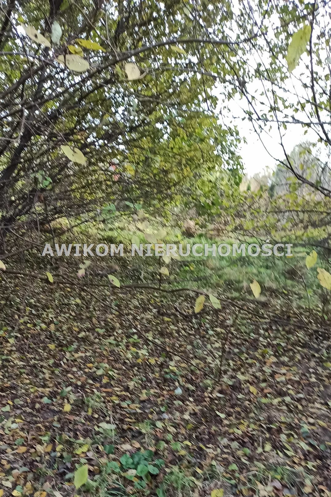 Działka 959 m2 w spokojnej okolicy, media, blisko PKP Jaktorów, Budy-Grzybek  959m2 Foto 1