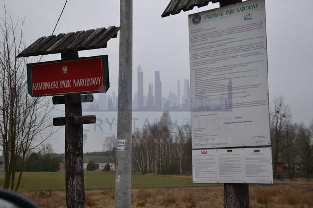 Działka budowlana na sprzedaż Lasocin  30 000m2 Foto 1