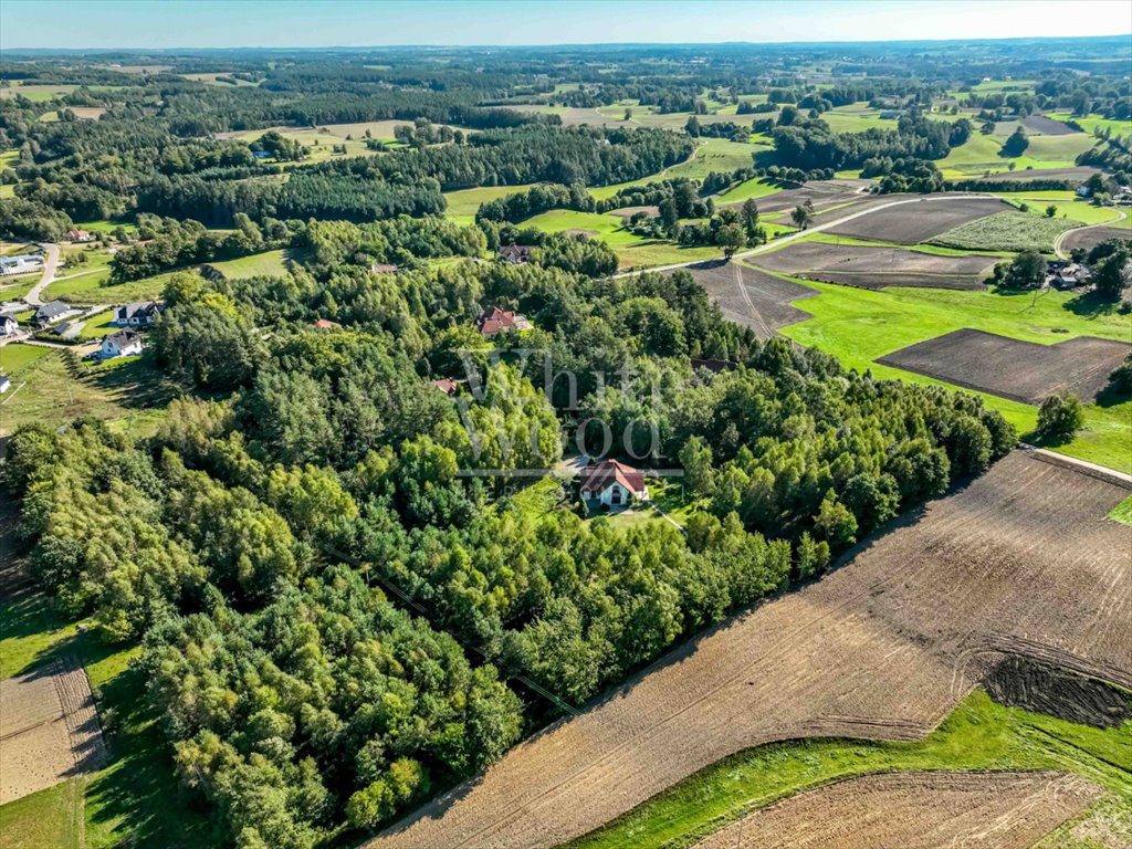 Działka rolna na sprzedaż Przodkowo  11 896m2 Foto 2