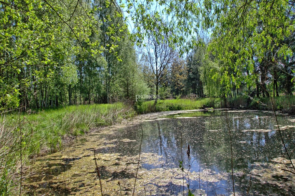 Działka inna na sprzedaż Śliwice, Aleja Dębowa  250m2 Foto 7