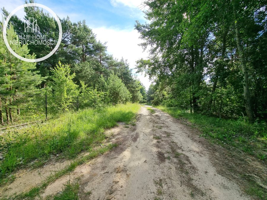 Działka budowlana na sprzedaż Wola Uhruska, Jasna  5 000m2 Foto 10