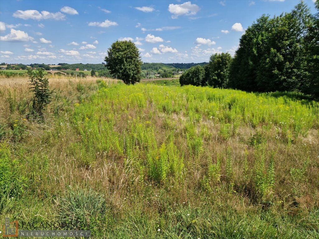 Działka budowlana na sprzedaż Baranówka  1 480m2 Foto 1