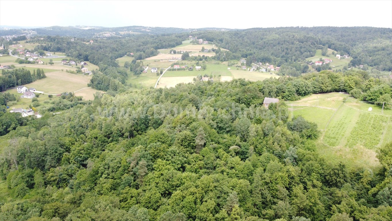 Działka budowlana na sprzedaż Nowy Wiśnicz  56 000m2 Foto 7