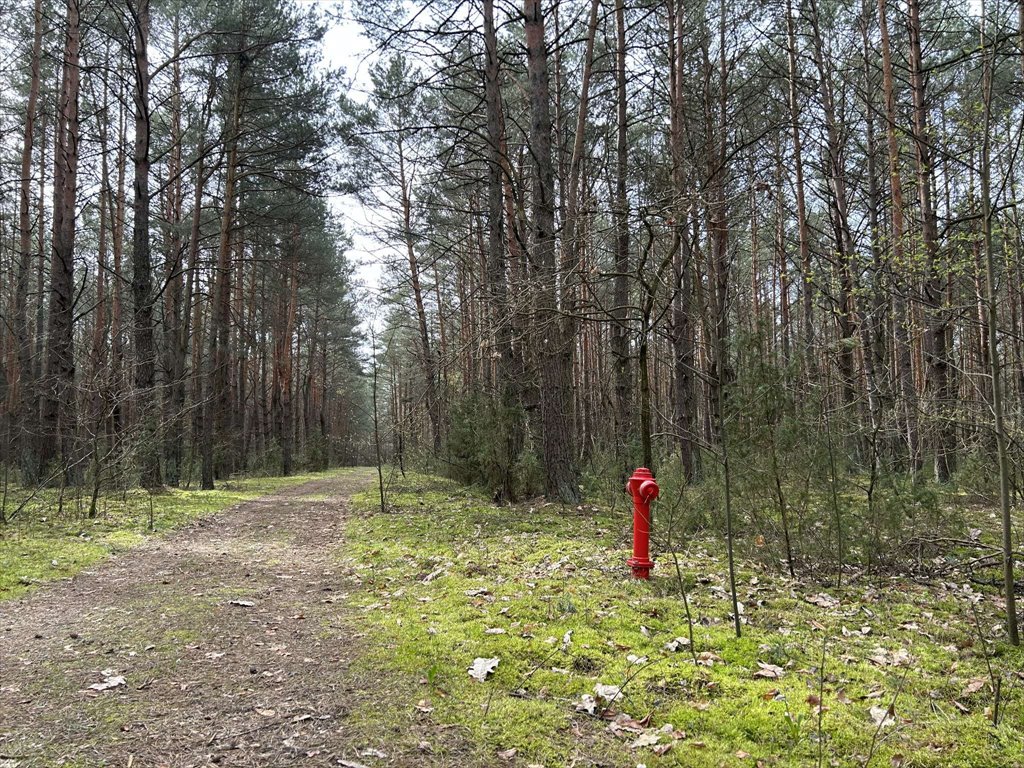 Działki 2000 m² w Dzbądzu z lasem i mediami - polecam! Dzbądz, Dzbądz  2 000m2 Foto 1