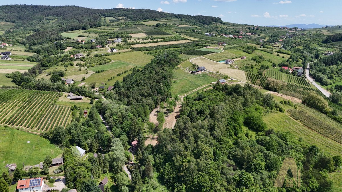 Działka budowlana na sprzedaż Łącko  2 300m2 Foto 7