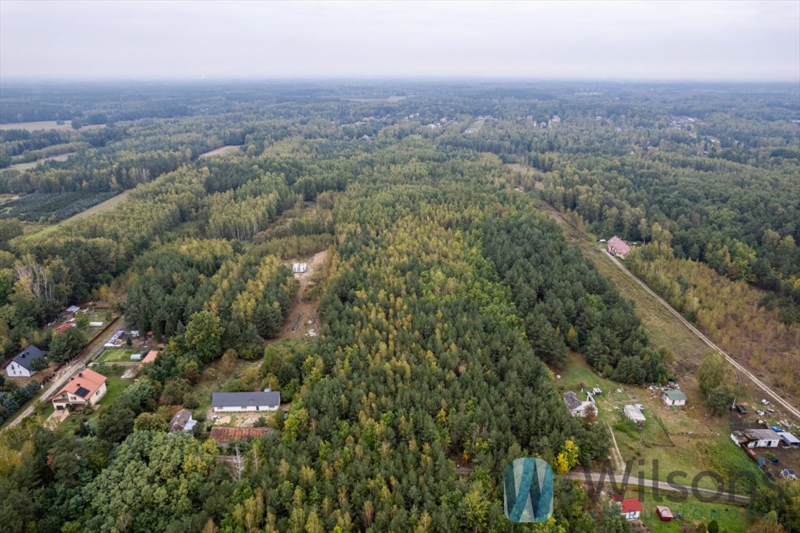 Działka inwestycyjna 13,3 ha z lasami i łąkami, blisko S8 Nowa Bukówka, Gajowa  133 548m2 Foto 1