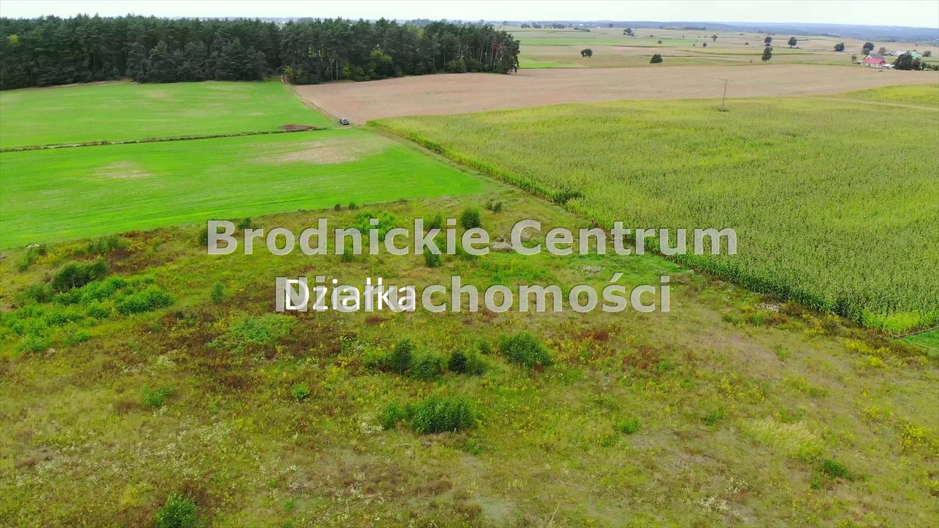 Działka rolna na sprzedaż Górzno, Górzno-Wybudowanie  25 200m2 Foto 11