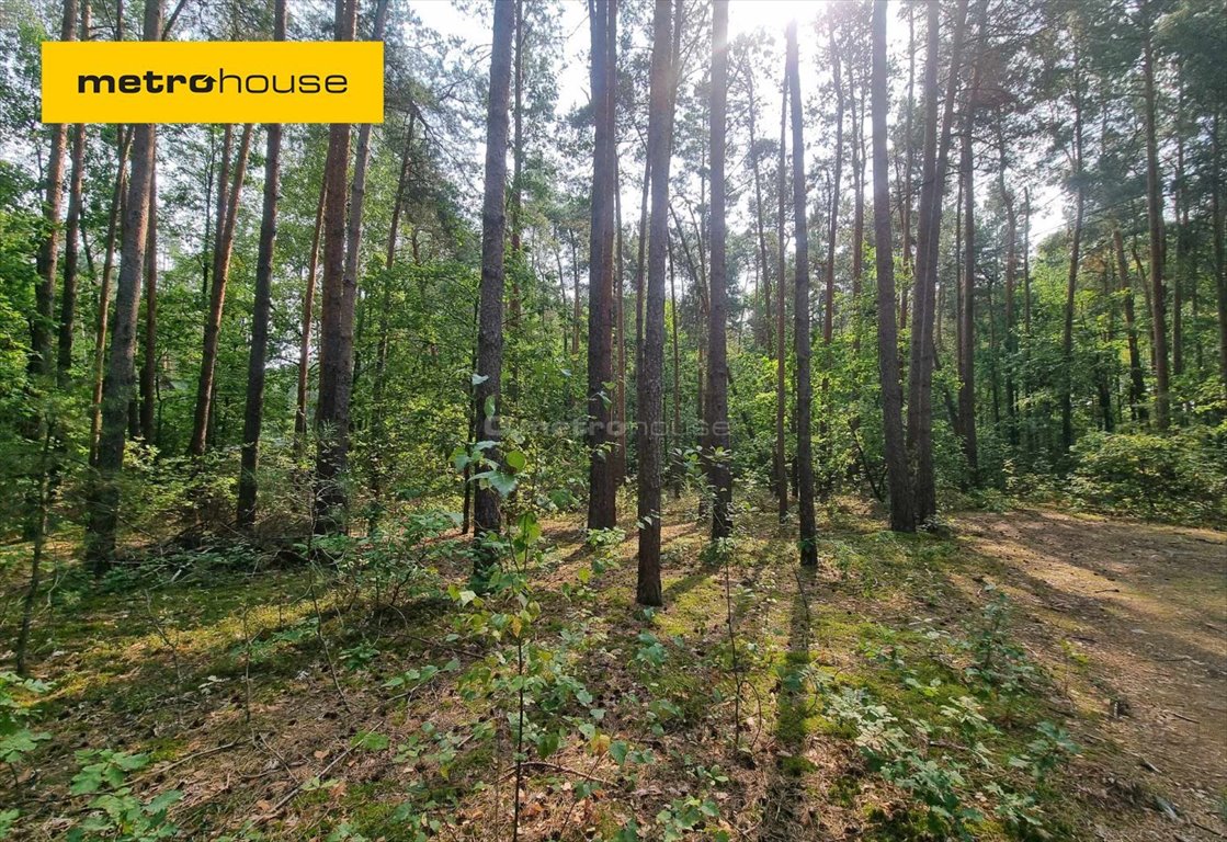 Działka rekreacyjna na sprzedaż Mierzwice-Kolonia  2 600m2 Foto 1