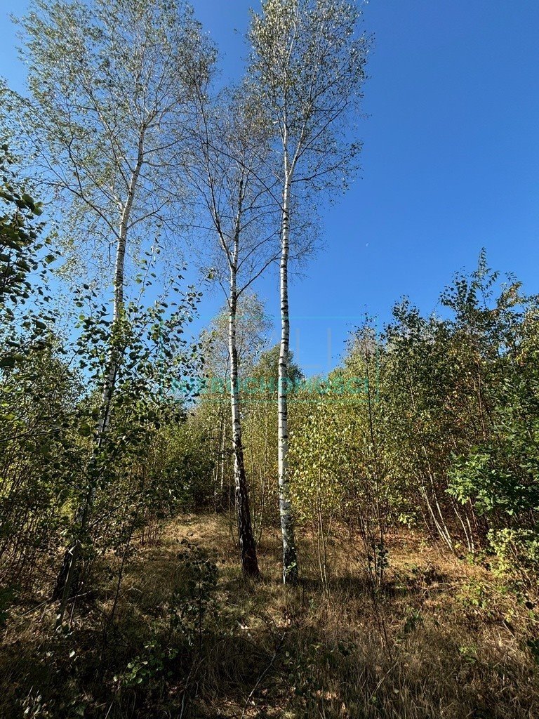 Działka budowlana na sprzedaż Adamowizna  1 584m2 Foto 2