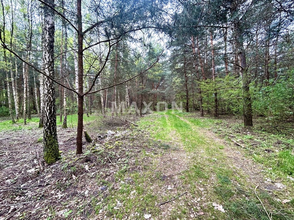 Działka rolna na sprzedaż Stanisławów Pierwszy  6 270m2 Foto 6