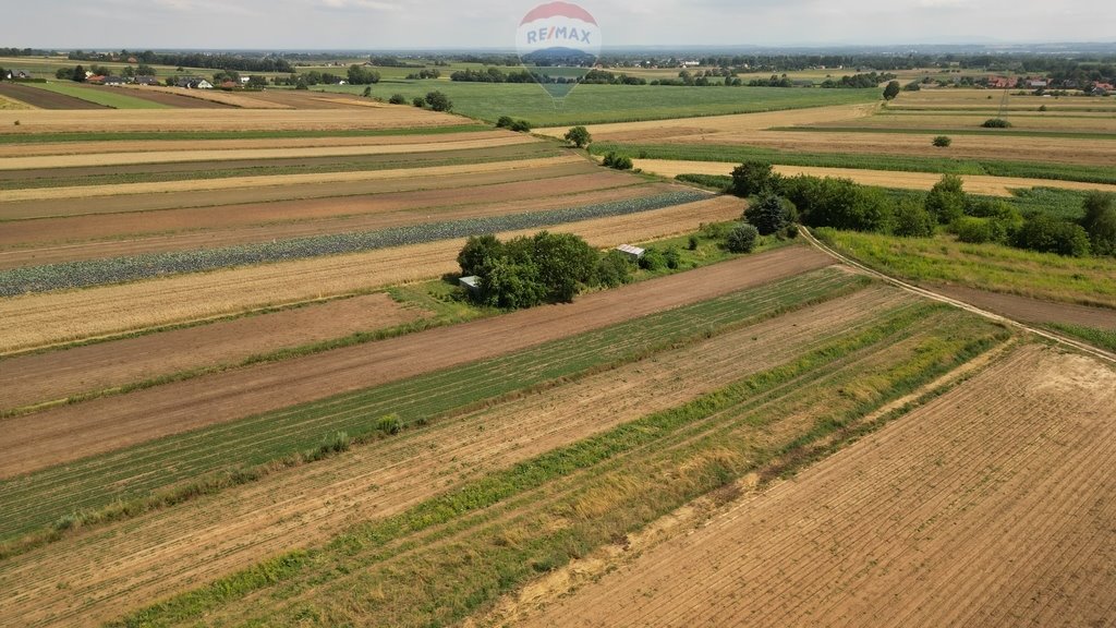 Działka budowlana na sprzedaż Krzysztoforzyce  5 500m2 Foto 7